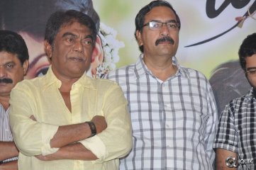 Brother Of Bommali Movie Success Meet